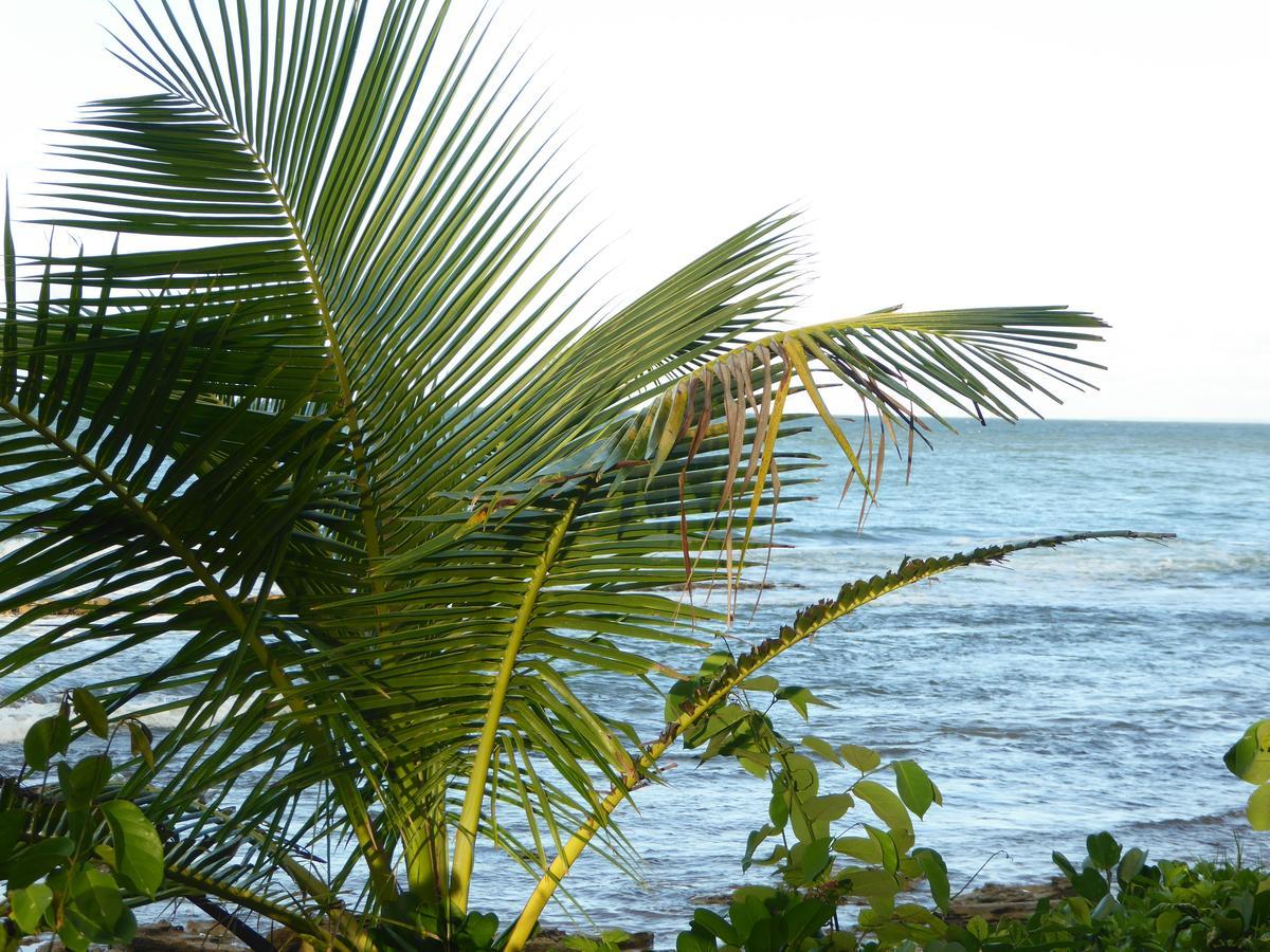 Coco Bungalows ซานต์-โรส ภายนอก รูปภาพ